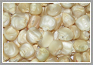 White Maize Seeds